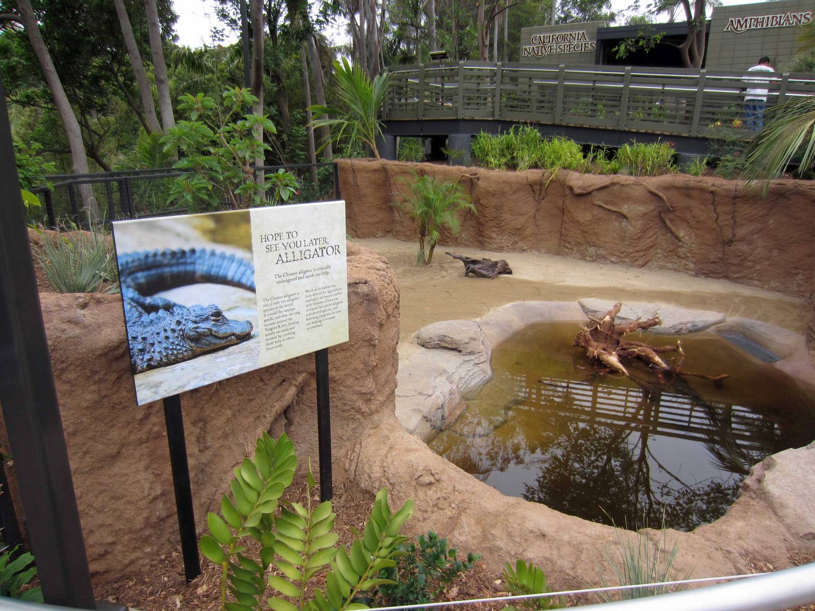 New Reptile Walk - Opened July 4th