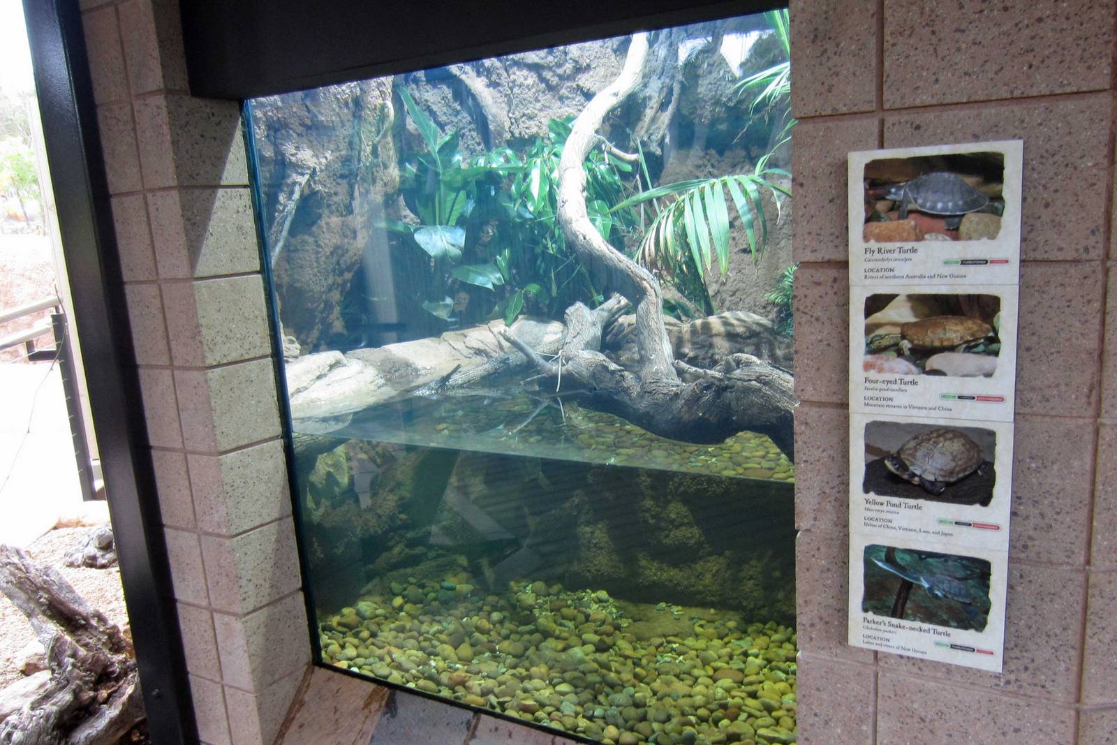 New Reptile Walk - Opened July 4th