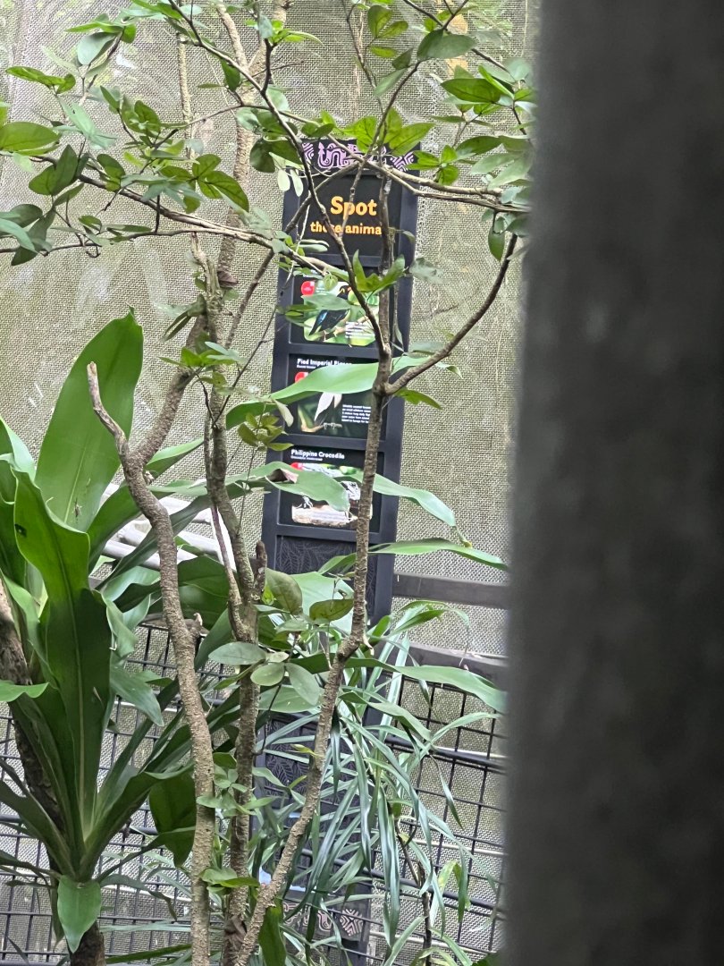 New Reptopia Aviary Sign