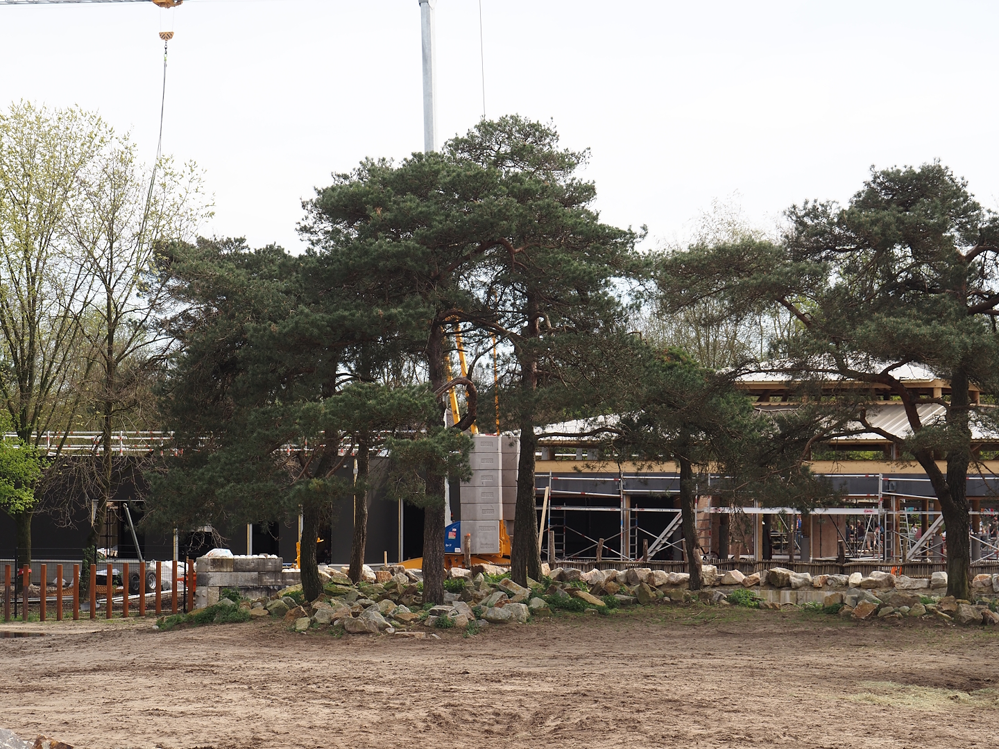 New restaurant 'Mugunda' construction site, 2024-04-06