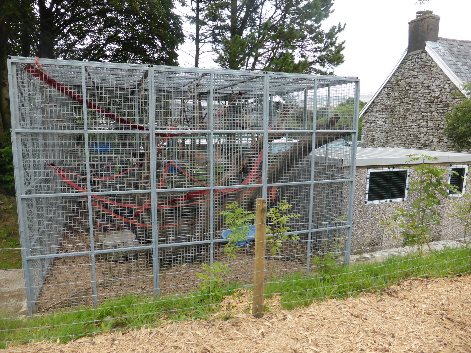 New rhesus monkey enclosure .