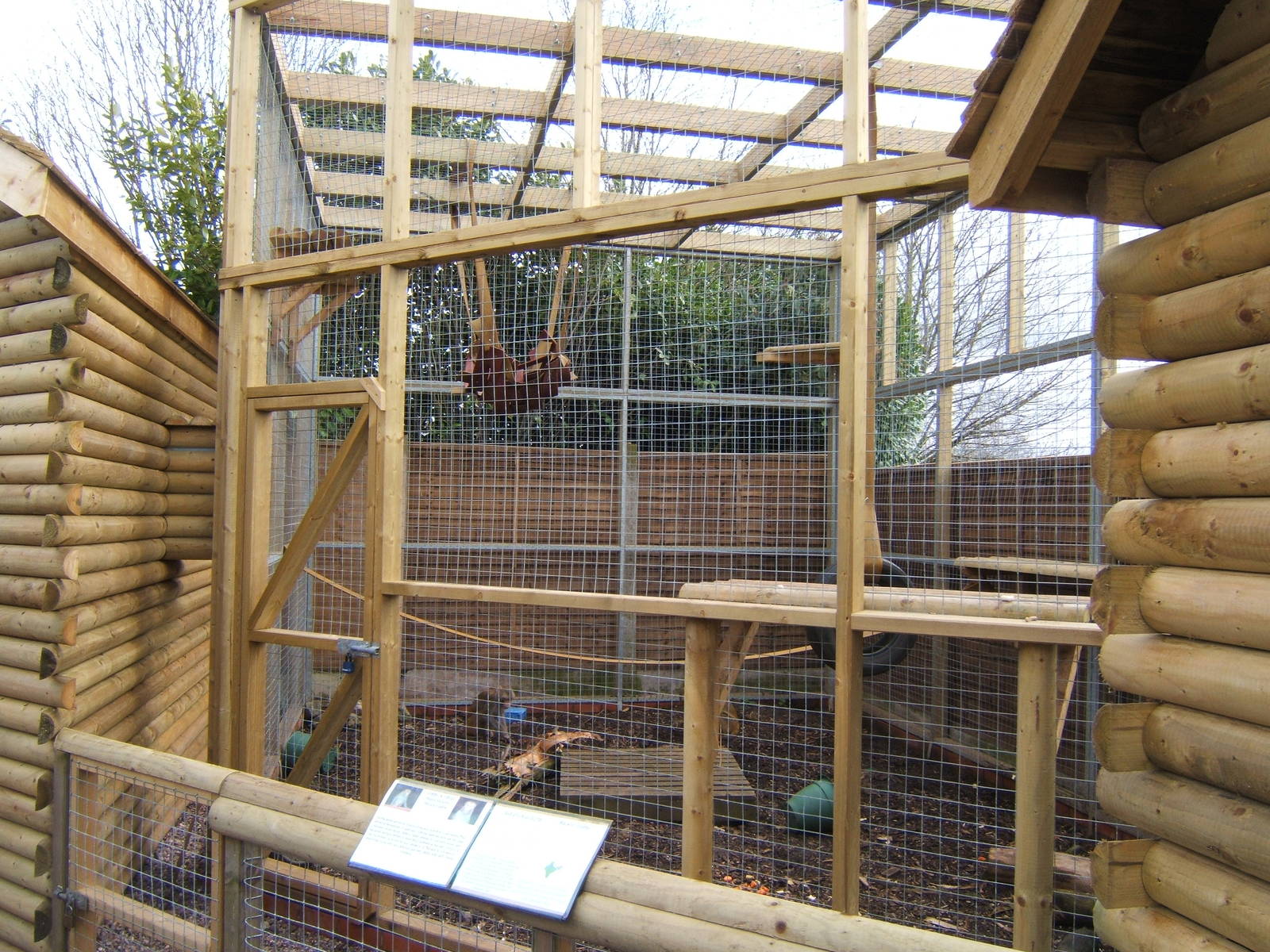 New Rhesus Monkey enclosure