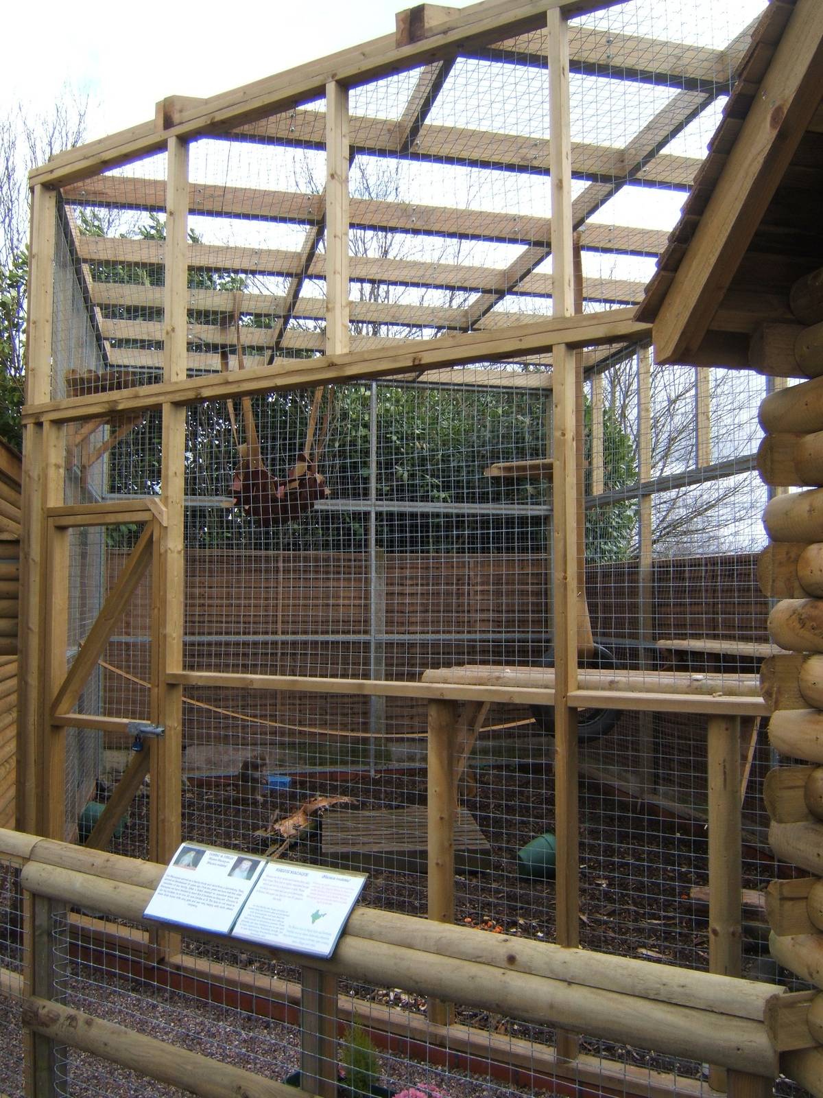 New Rhesus Monkey enclosure