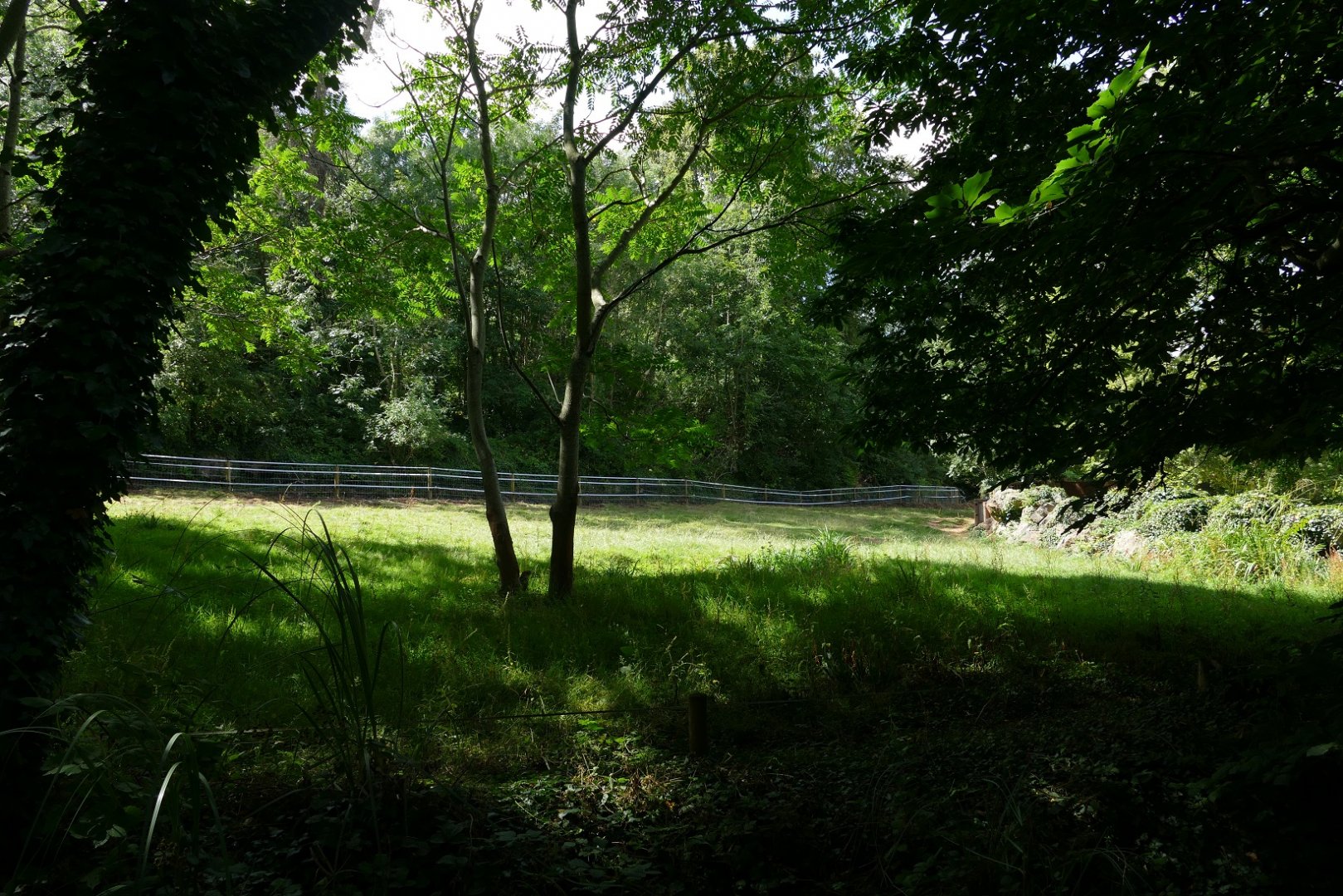 New rhino fence, August 2019