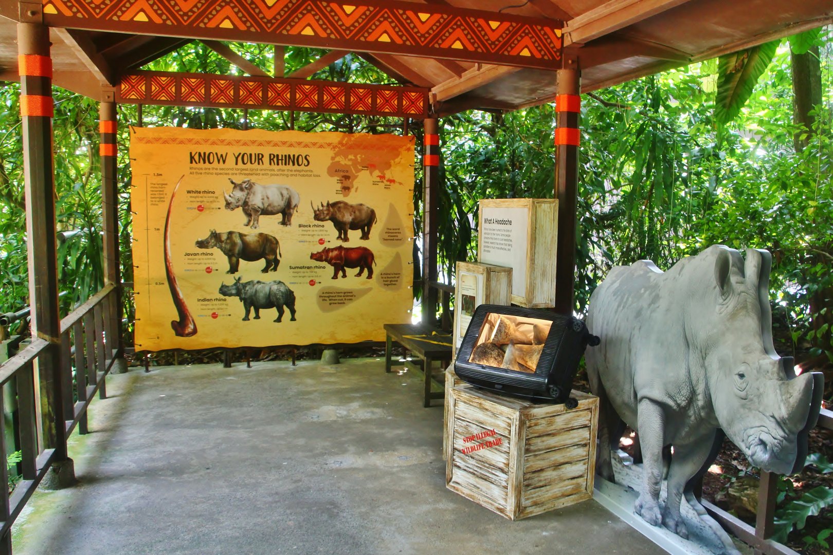 New Rhino interpretive