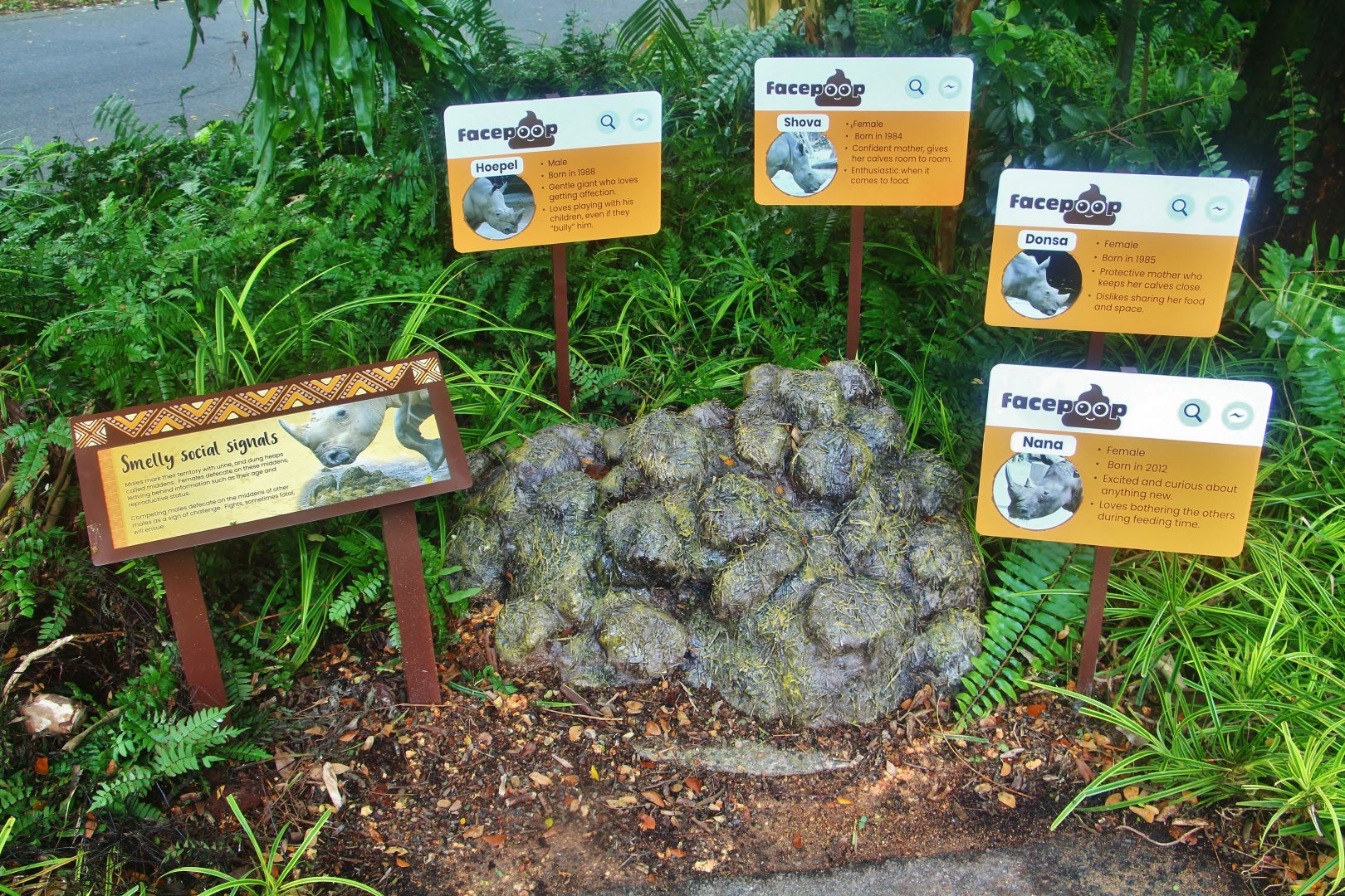 New Rhino interpretive