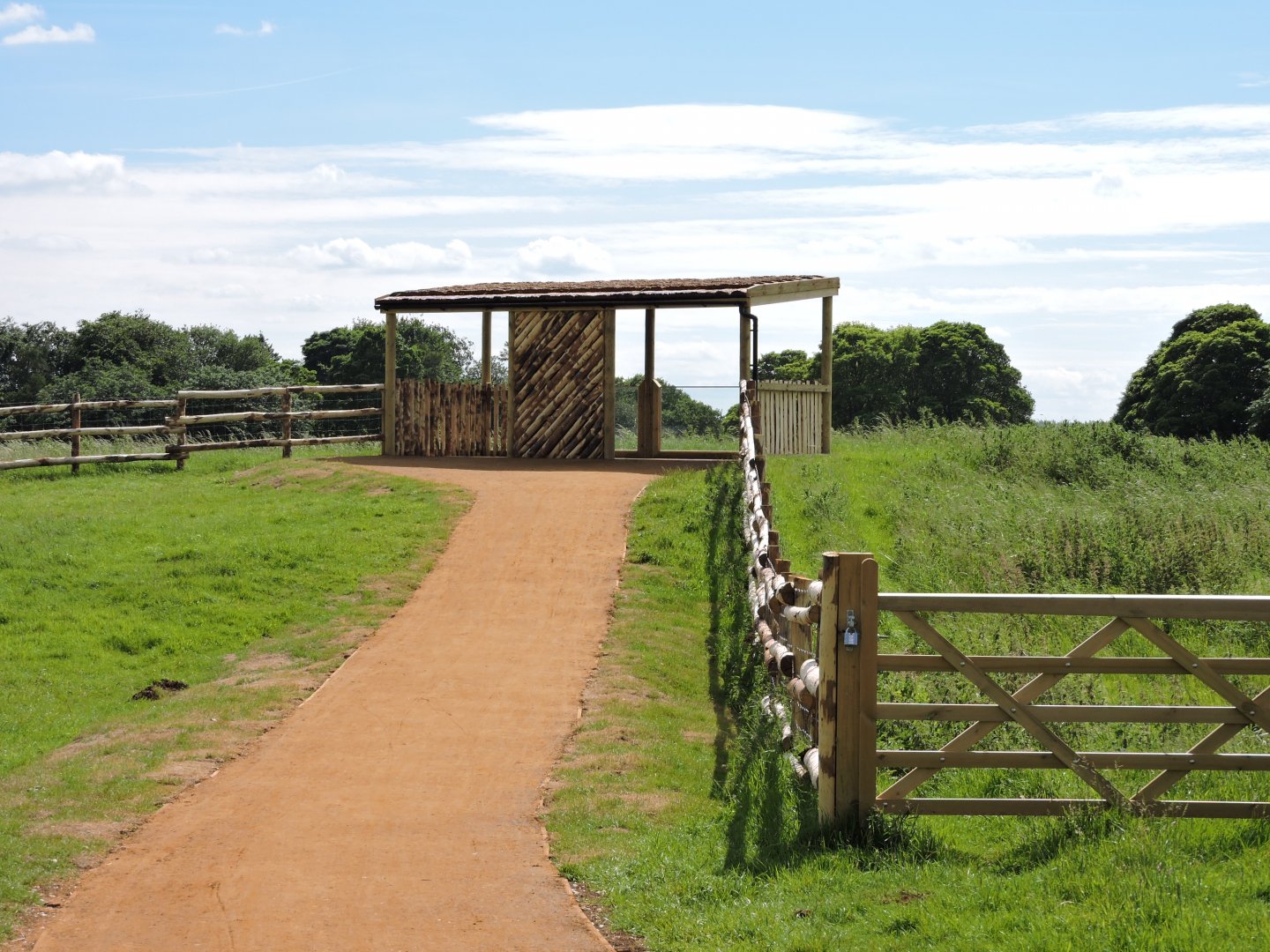 New Rhino paddock viewing area