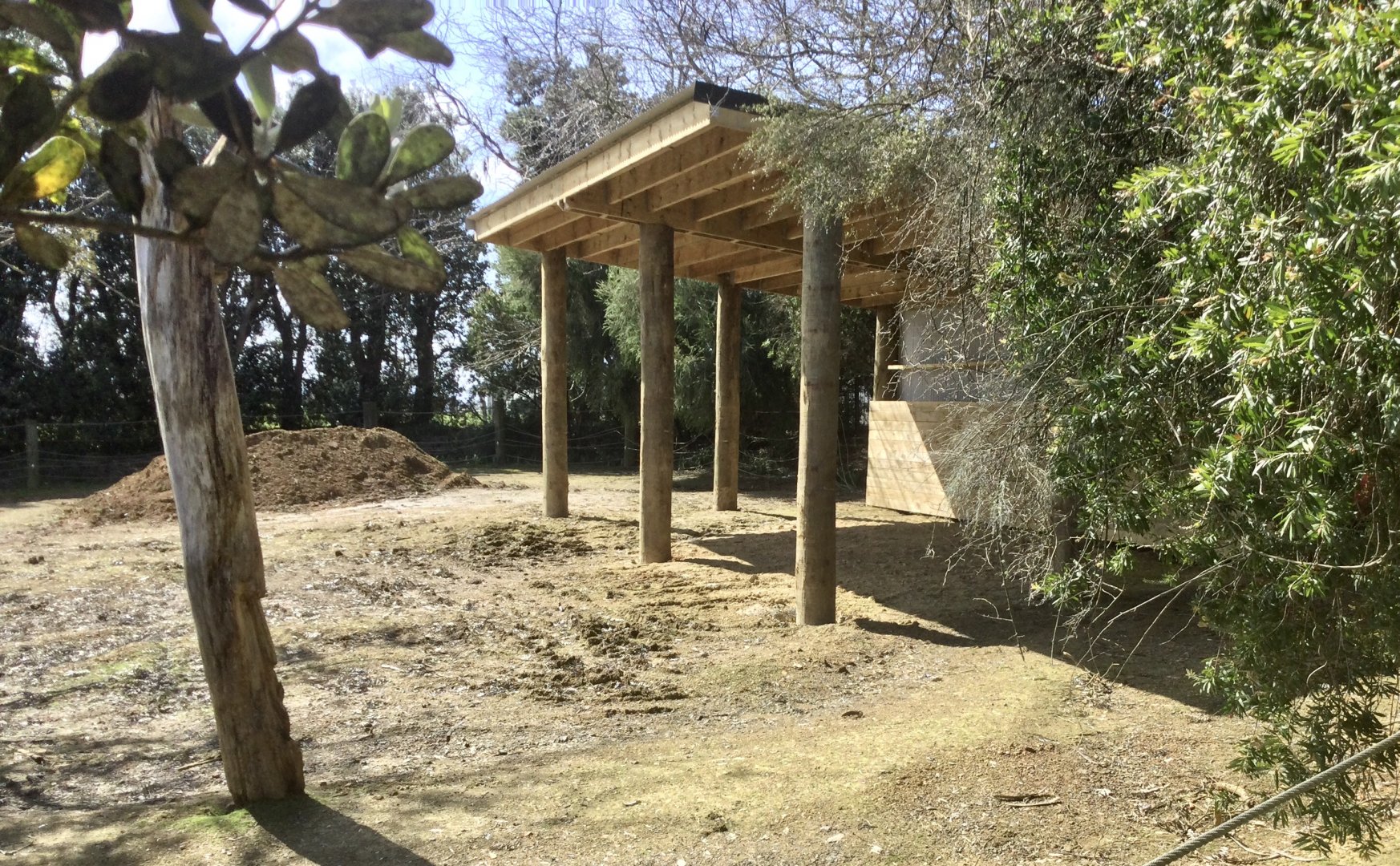 New Rhino Shelter