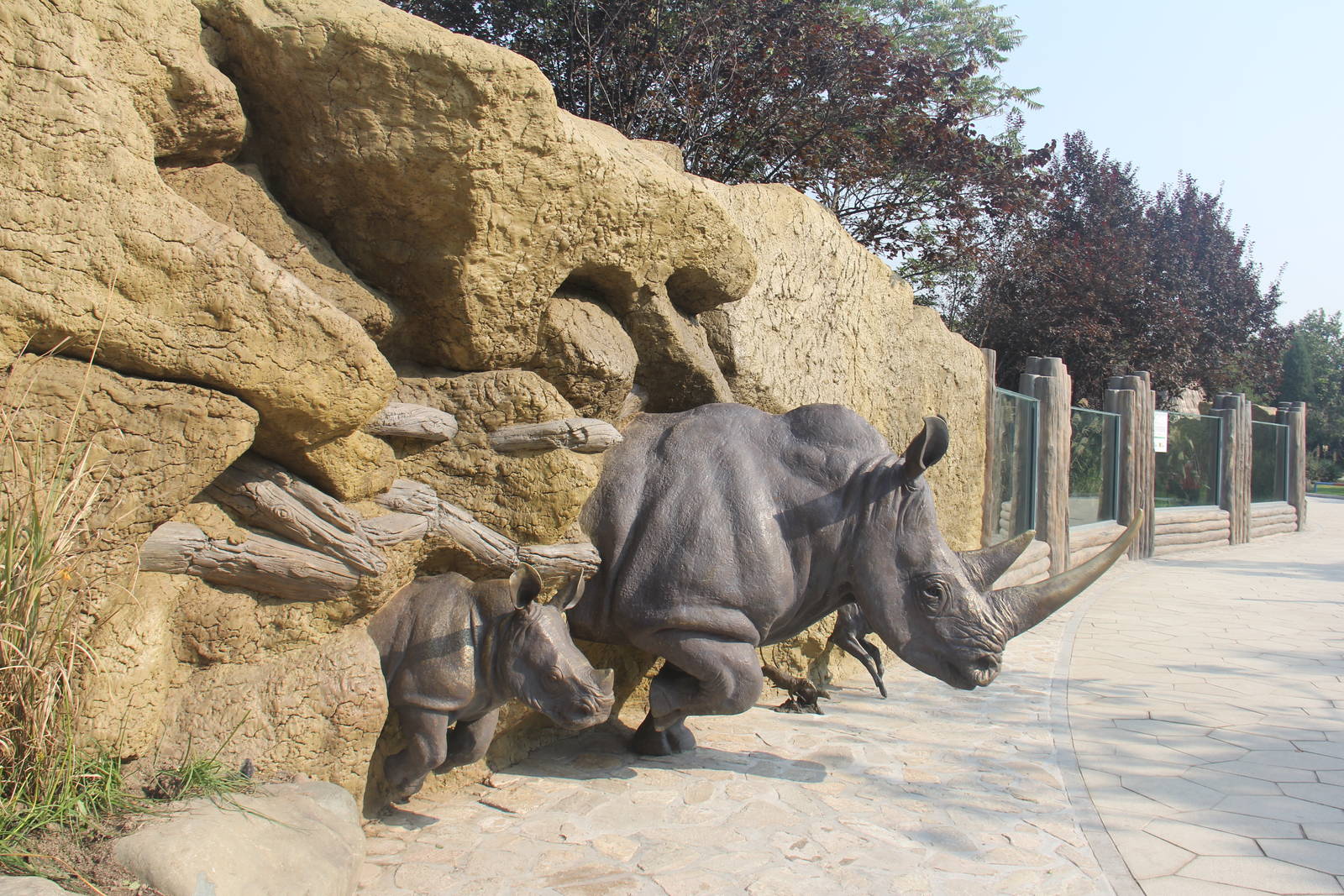 New rhinoceros enclosure