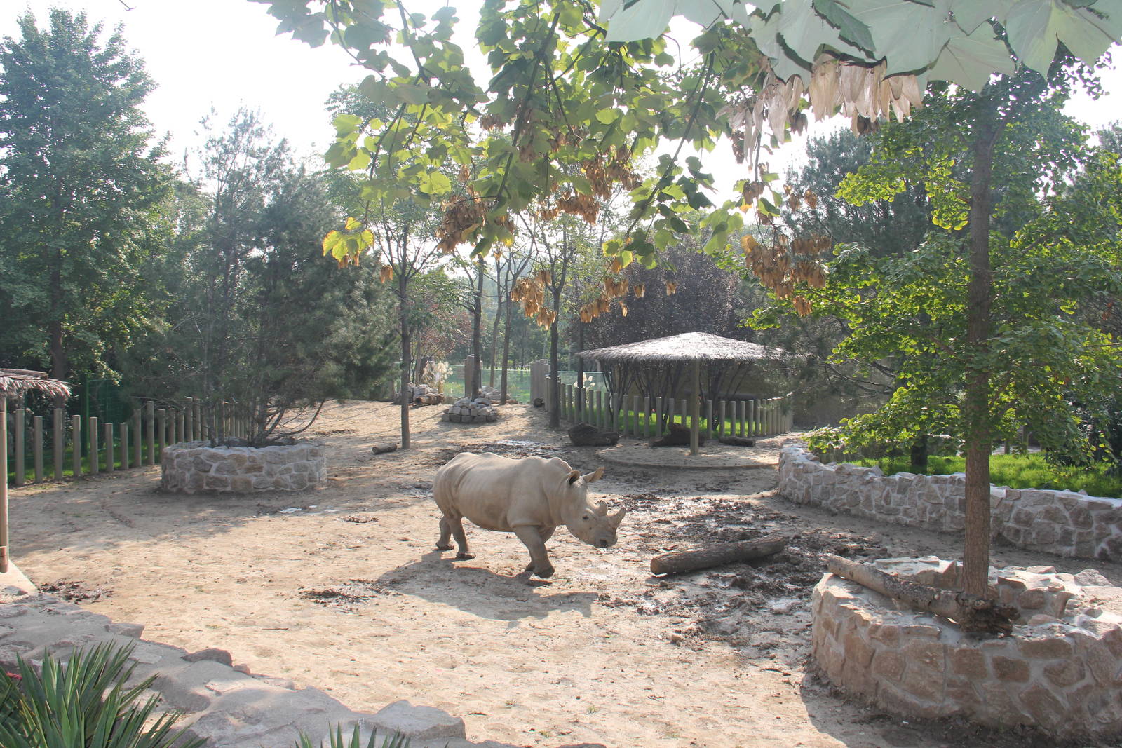 New rhinoceros enclosure