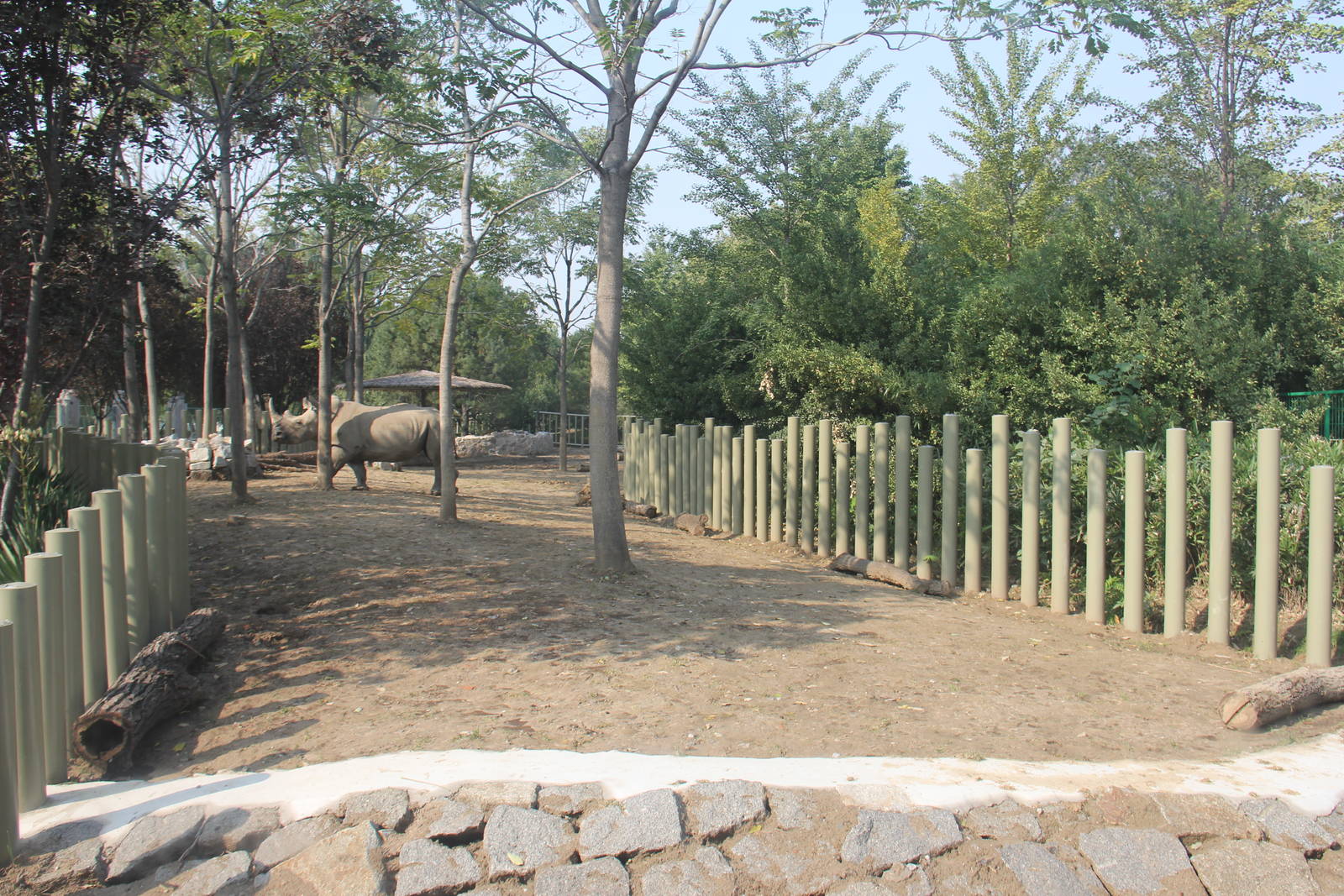 New rhinoceros enclosure