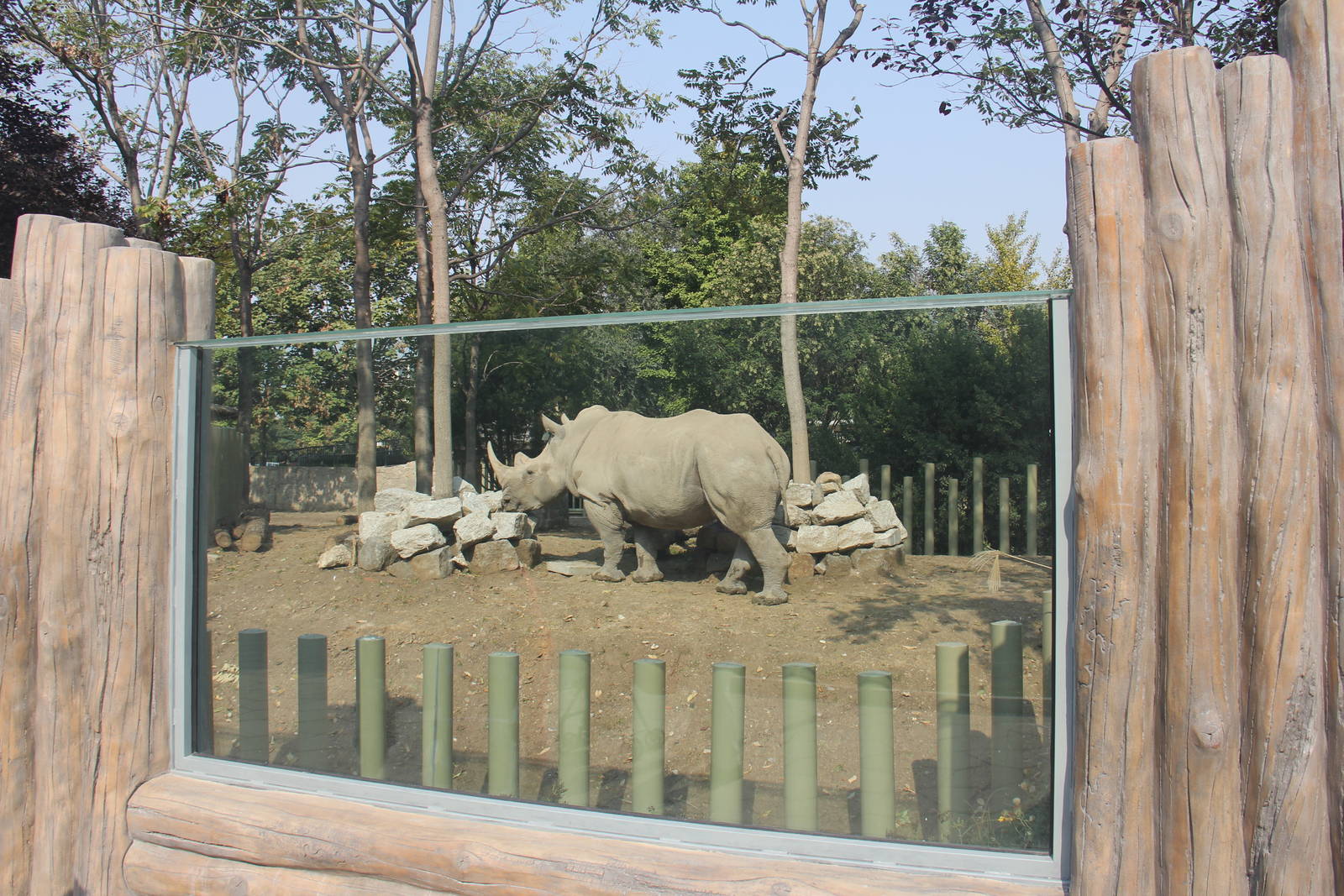 New rhinoceros enclosure