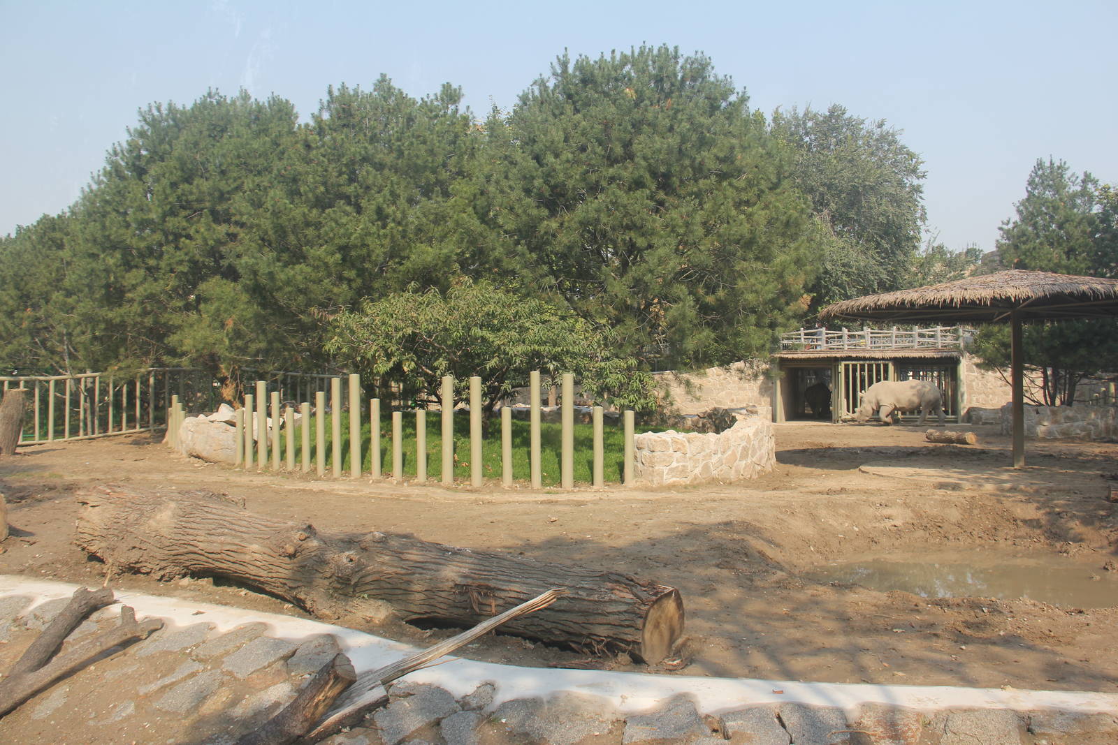 New rhinoceros enclosure