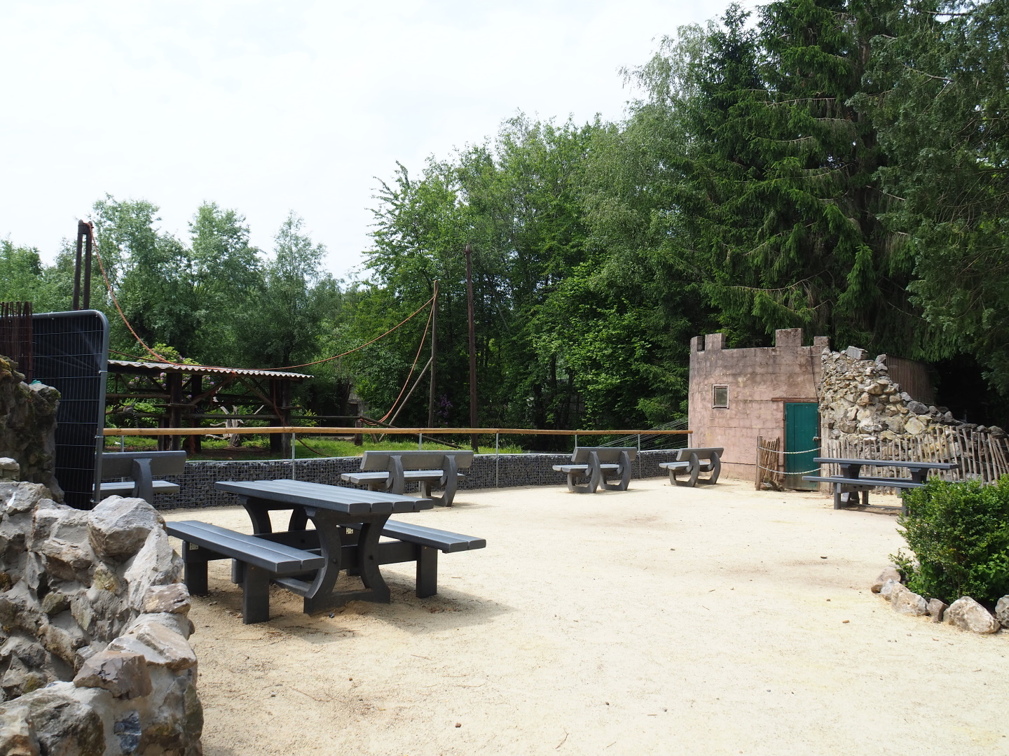 New Ring-tailed lemur island viewing area, 2021-06-15