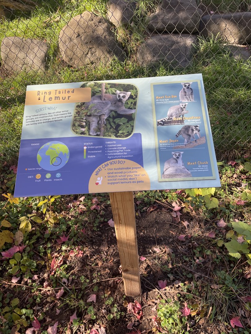 New Ring-Tailed Lemur Signage