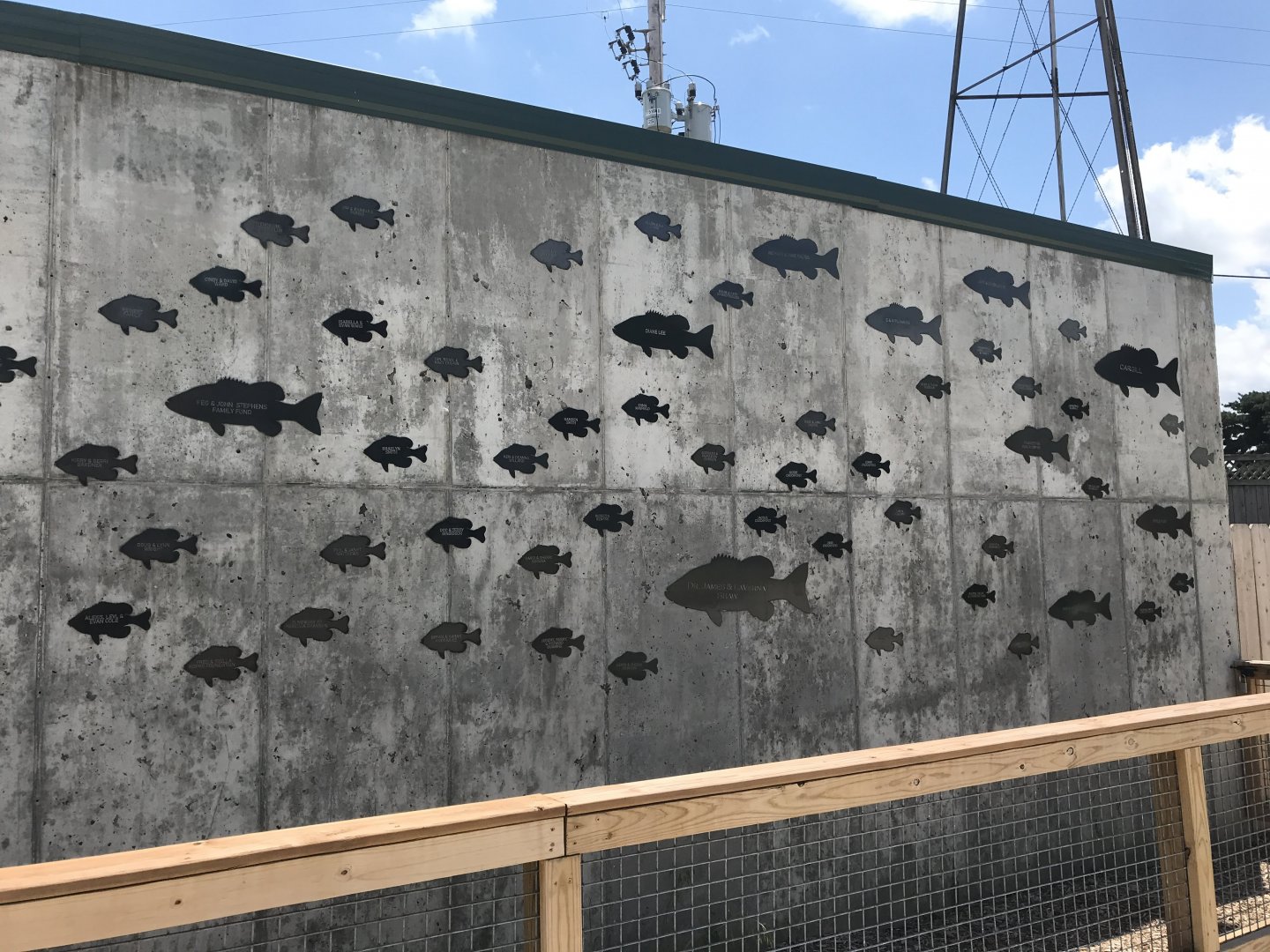 New River Otter Exhibit