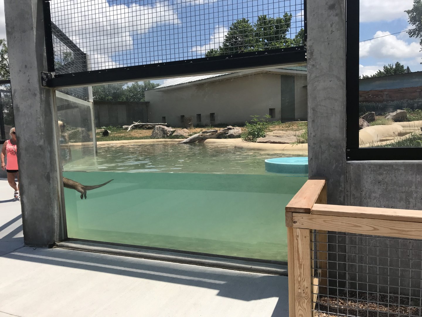 New River Otter Exhibit