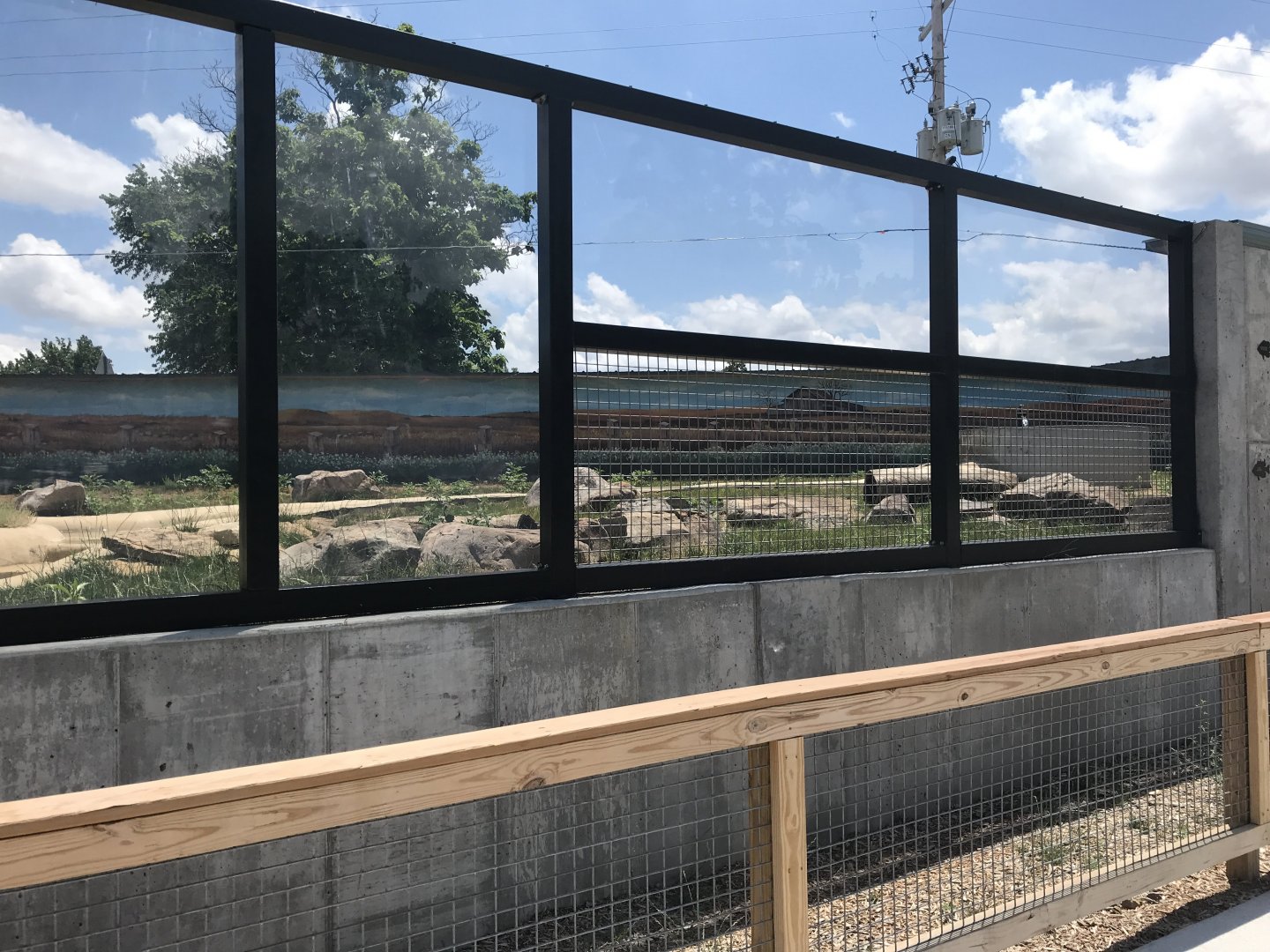 New River Otter Exhibit