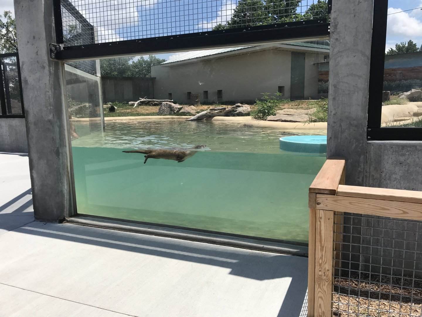 New River Otter Exhibit