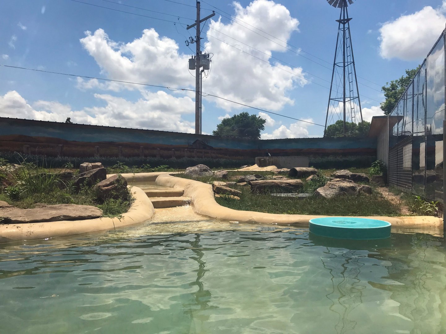New River Otter Exhibit