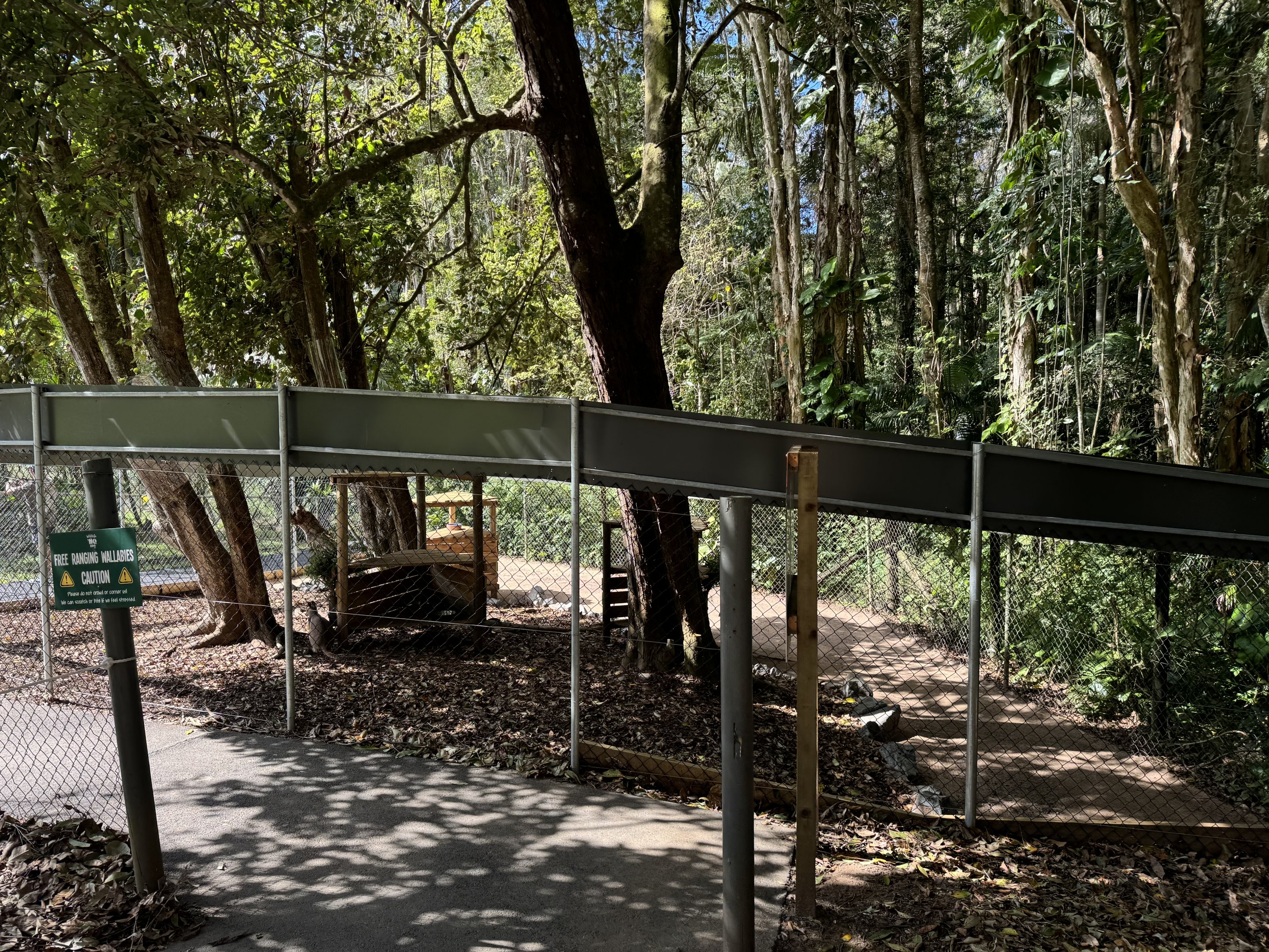 New rock-wallaby enclosure