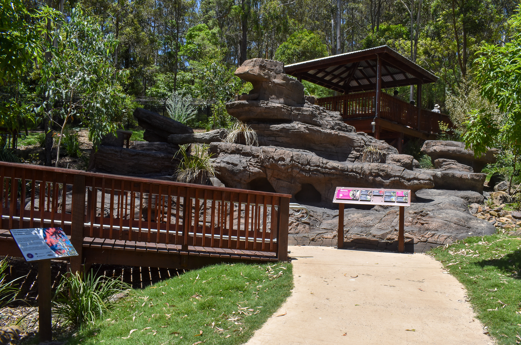 New Rock-Wallaby Walkthrough Enclosure