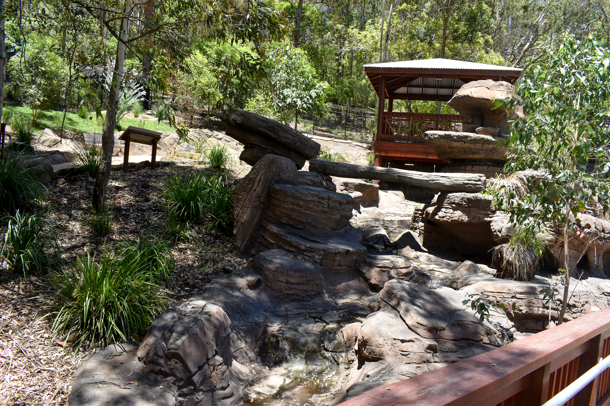 New Rock-Wallaby Walkthrough Enclosure