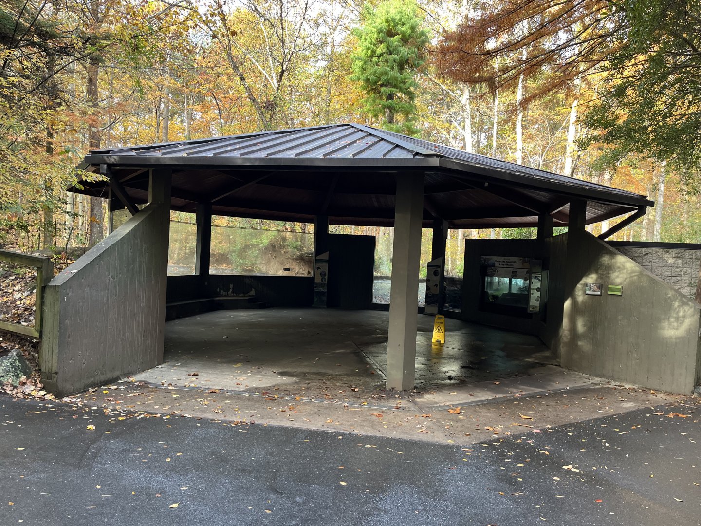 New Roof over Swamp Pavilion
