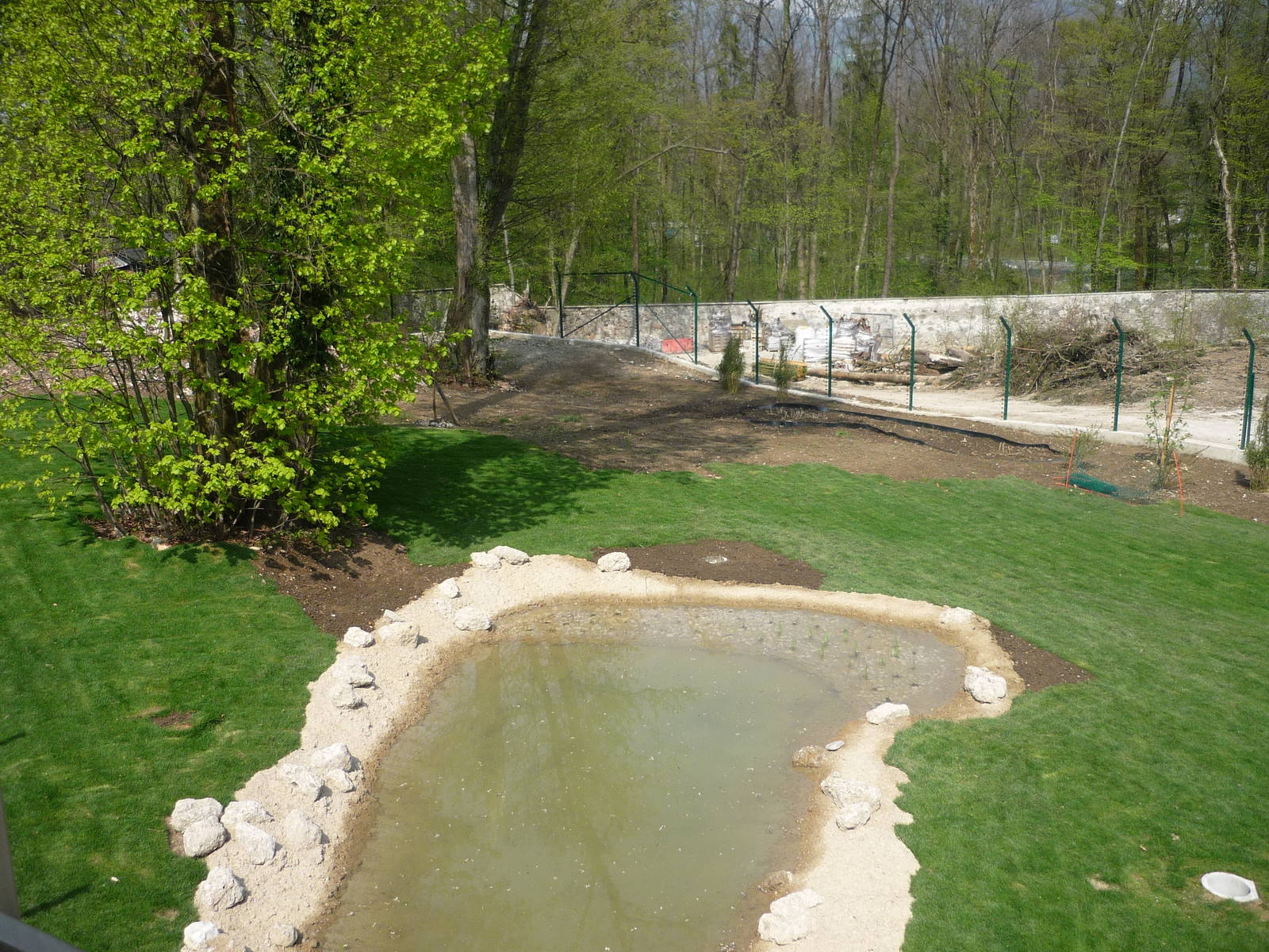 New RRH and Diana Monkeys Exhibit