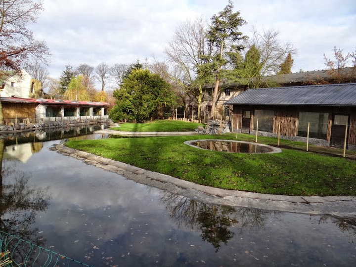 New run of flamingoes