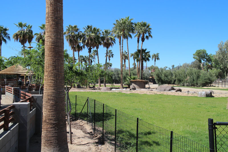 new safari expansion