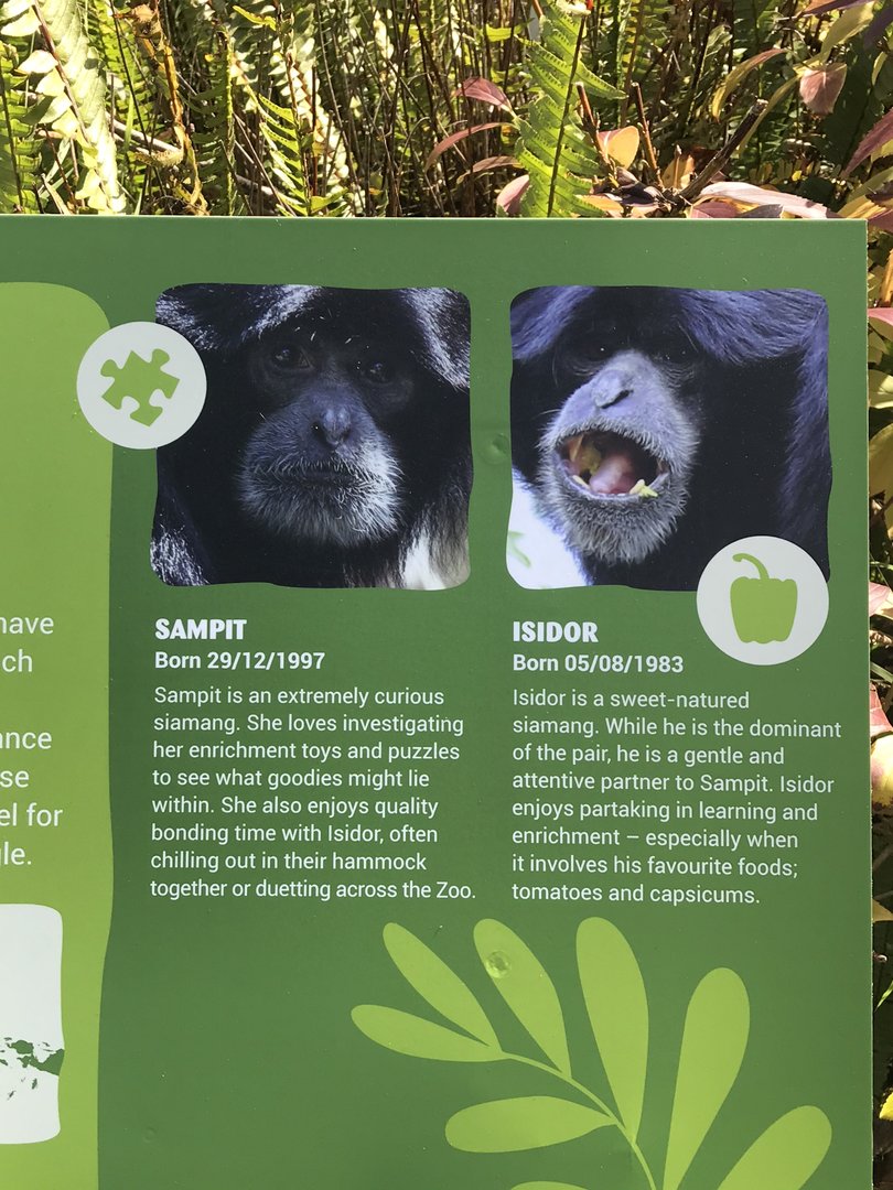 New Saimang signage - Japanese Island