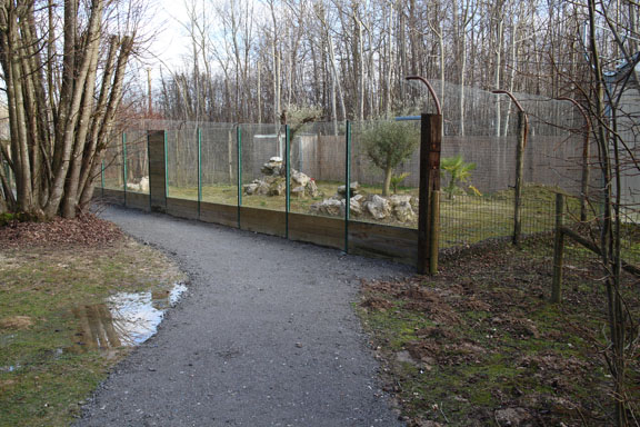 new sand cat exhibit