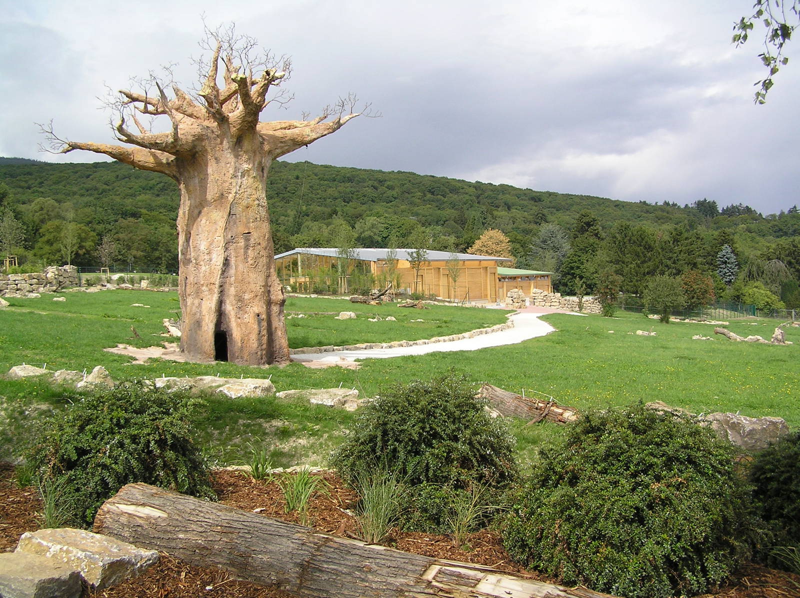 New savanah area - Opel Zoo 2006