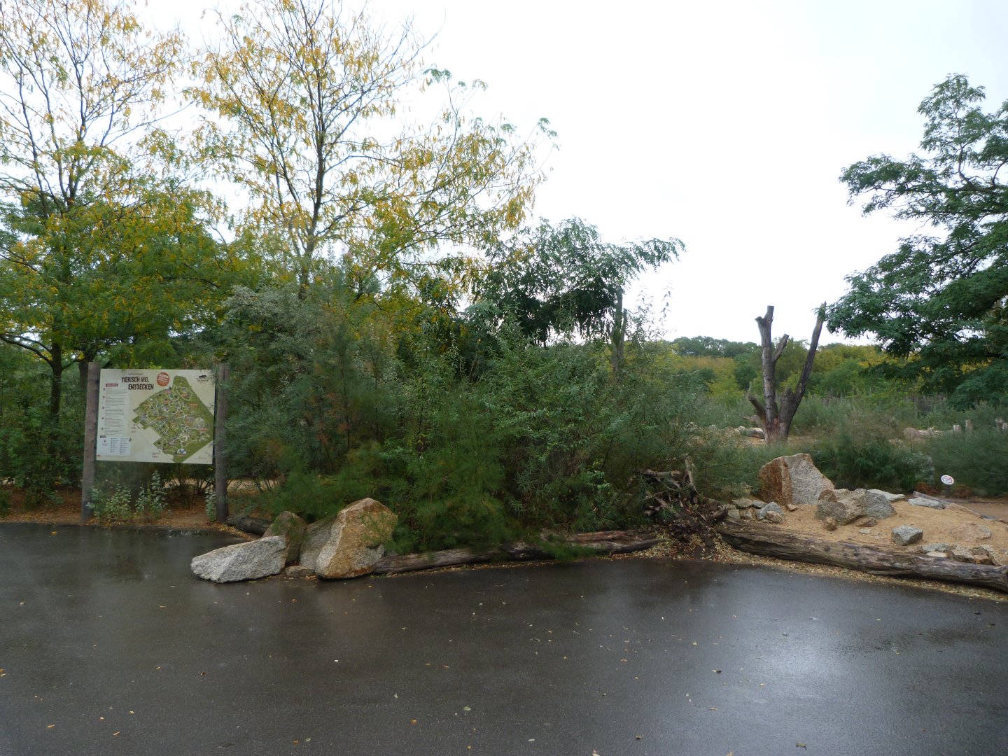 New savanna area -Tierpark Berlin (2024)