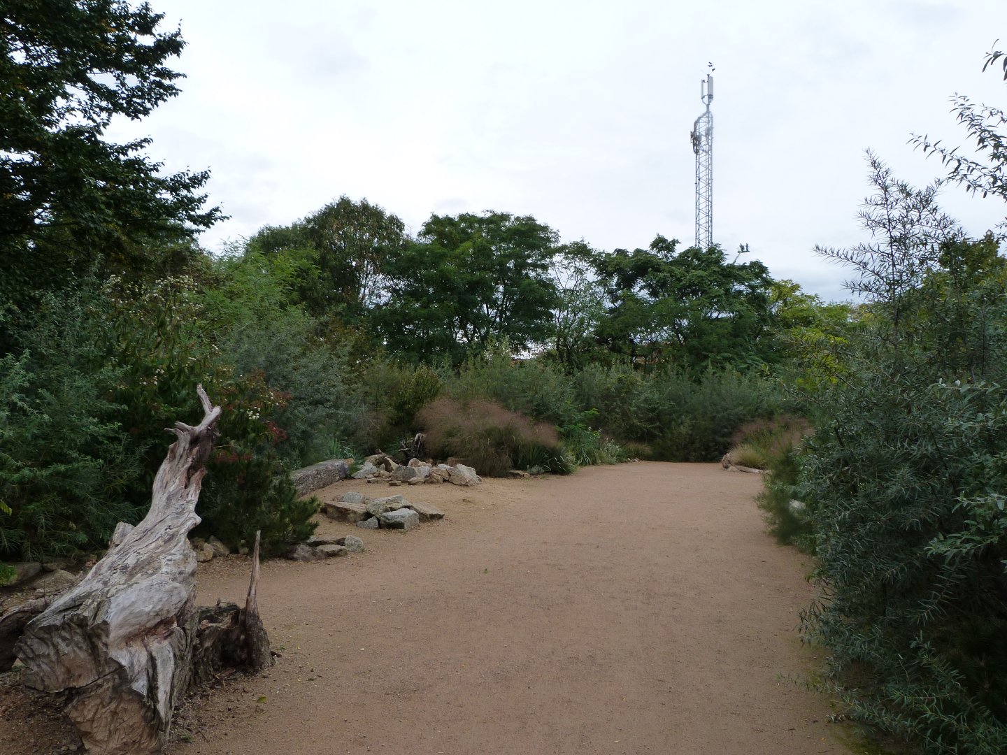 New savanna area -Tierpark Berlin (2024)