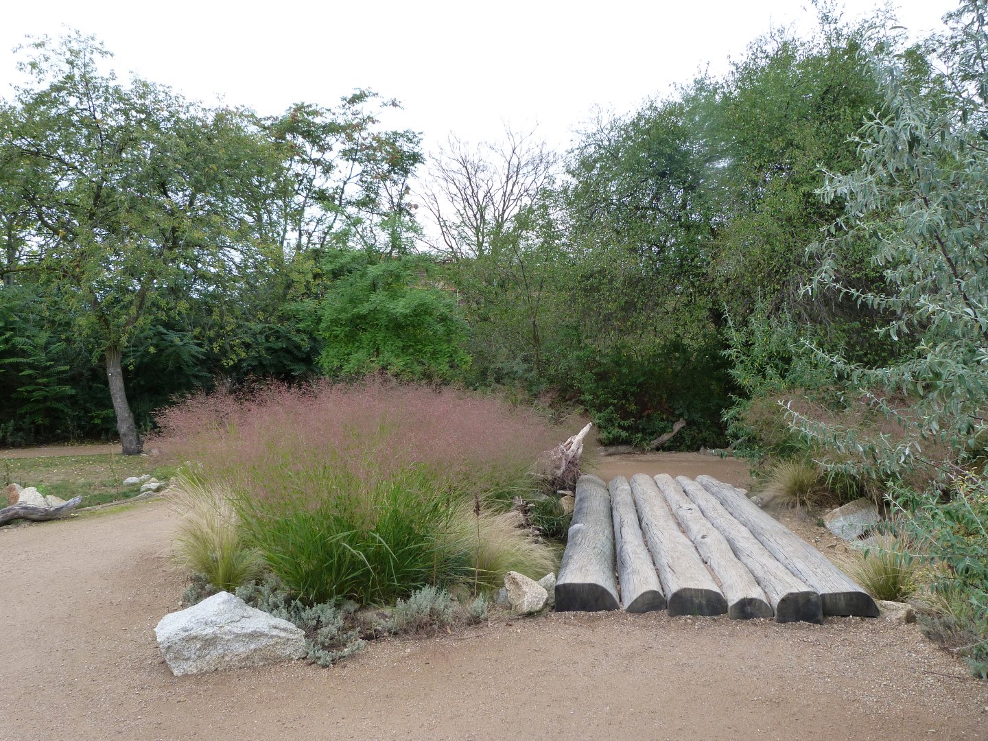New savanna area -Tierpark Berlin (2024)