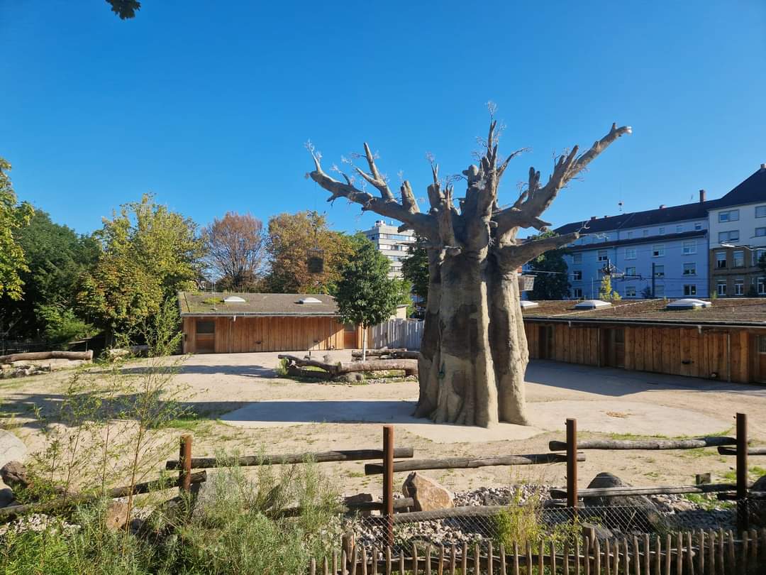 New Savanna, Boabab and Zebra stables