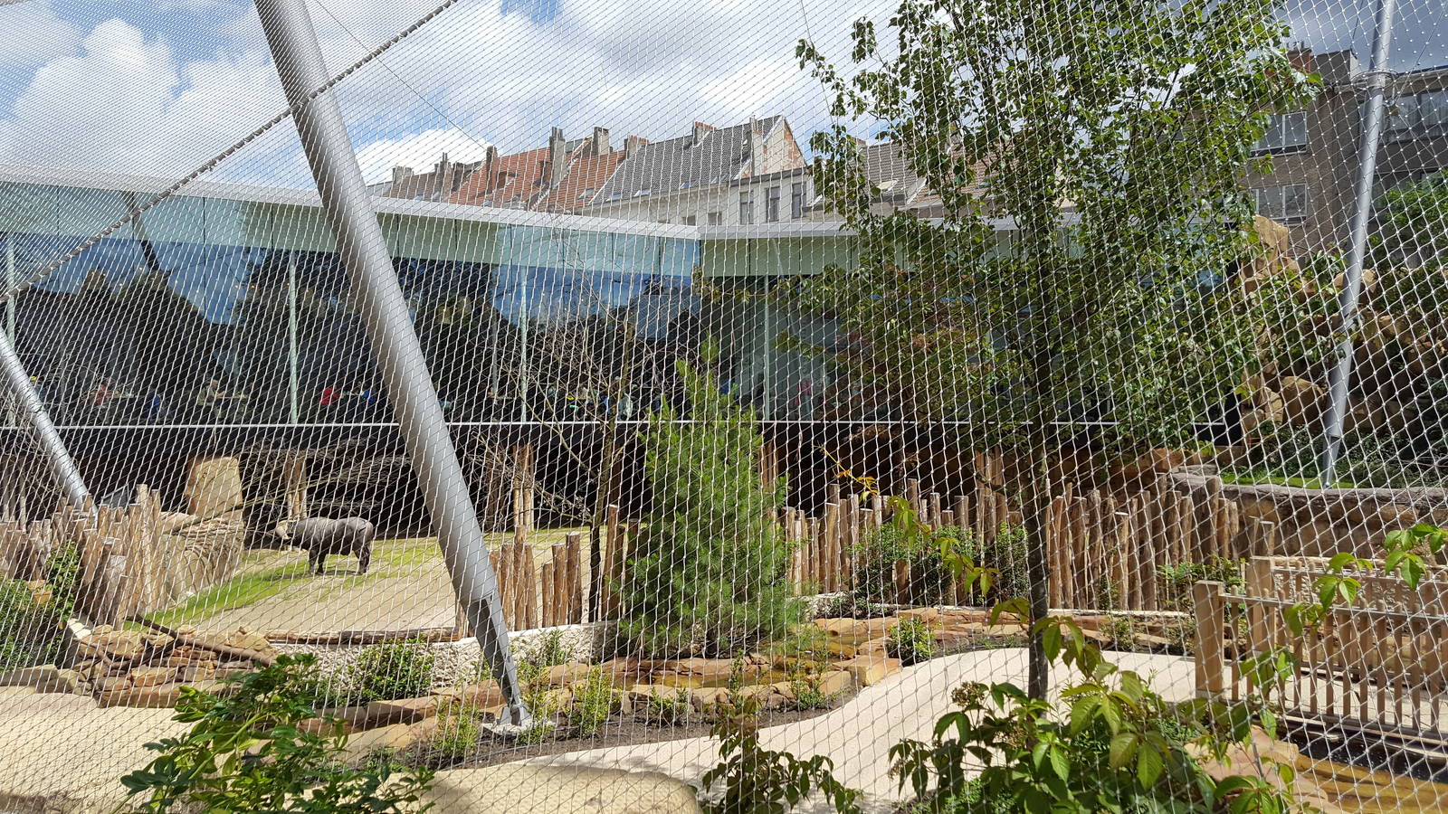 new savanna enclosure