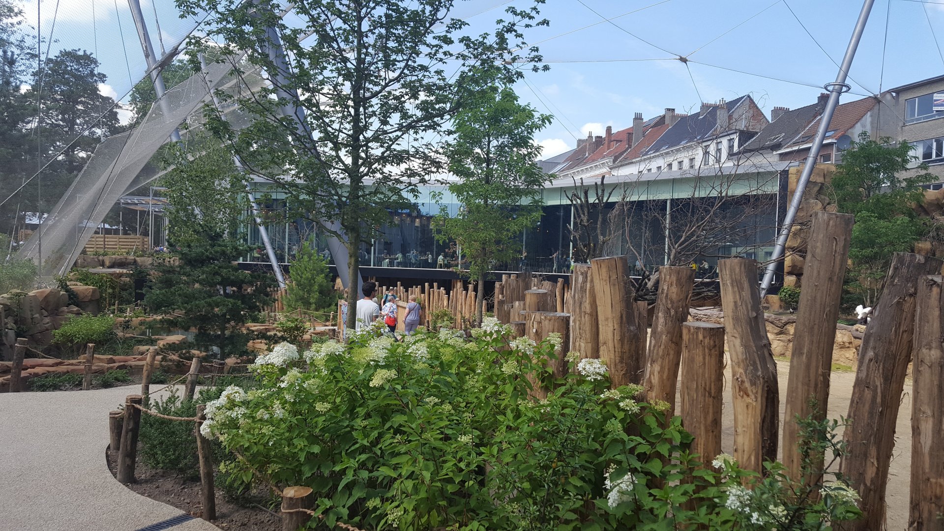 new savanna exhibit restaurant view