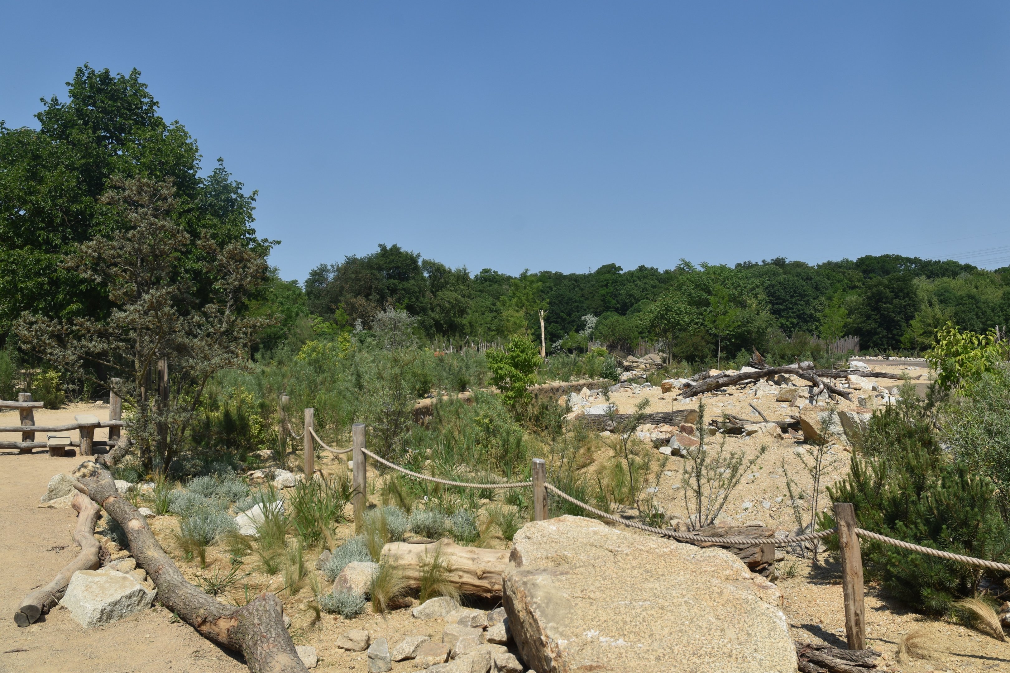 New Savannah Paddock at Tierpark Berlin, 9th June 2023