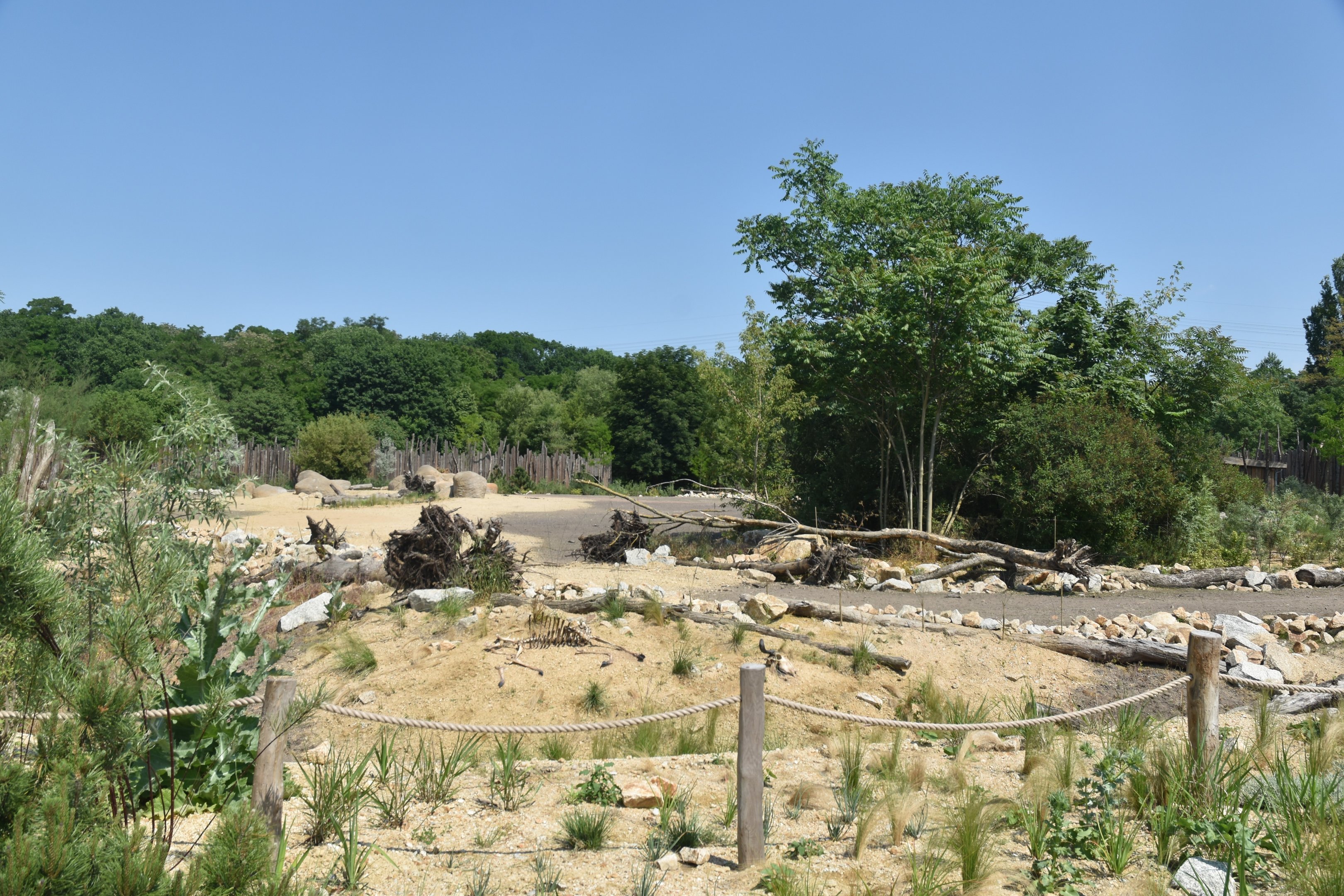 New Savannah Paddock at Tierpark Berlin, 9th June 2023