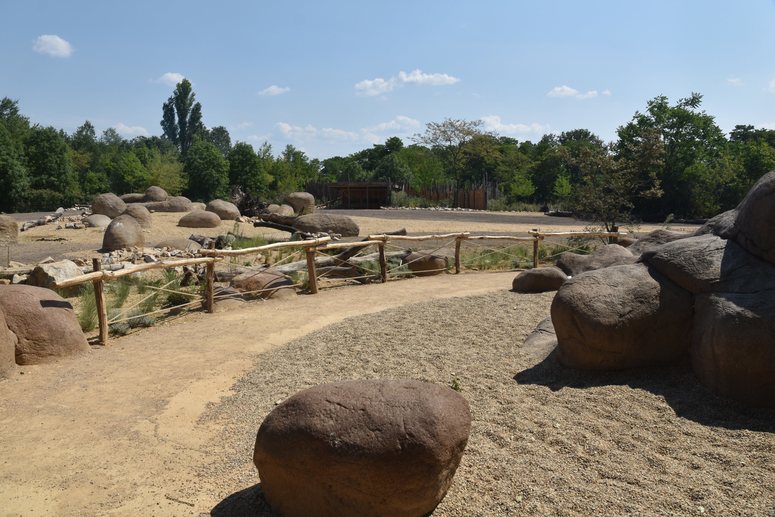 New Savannah Paddock at Tierpark Berlin, 9th June 2023