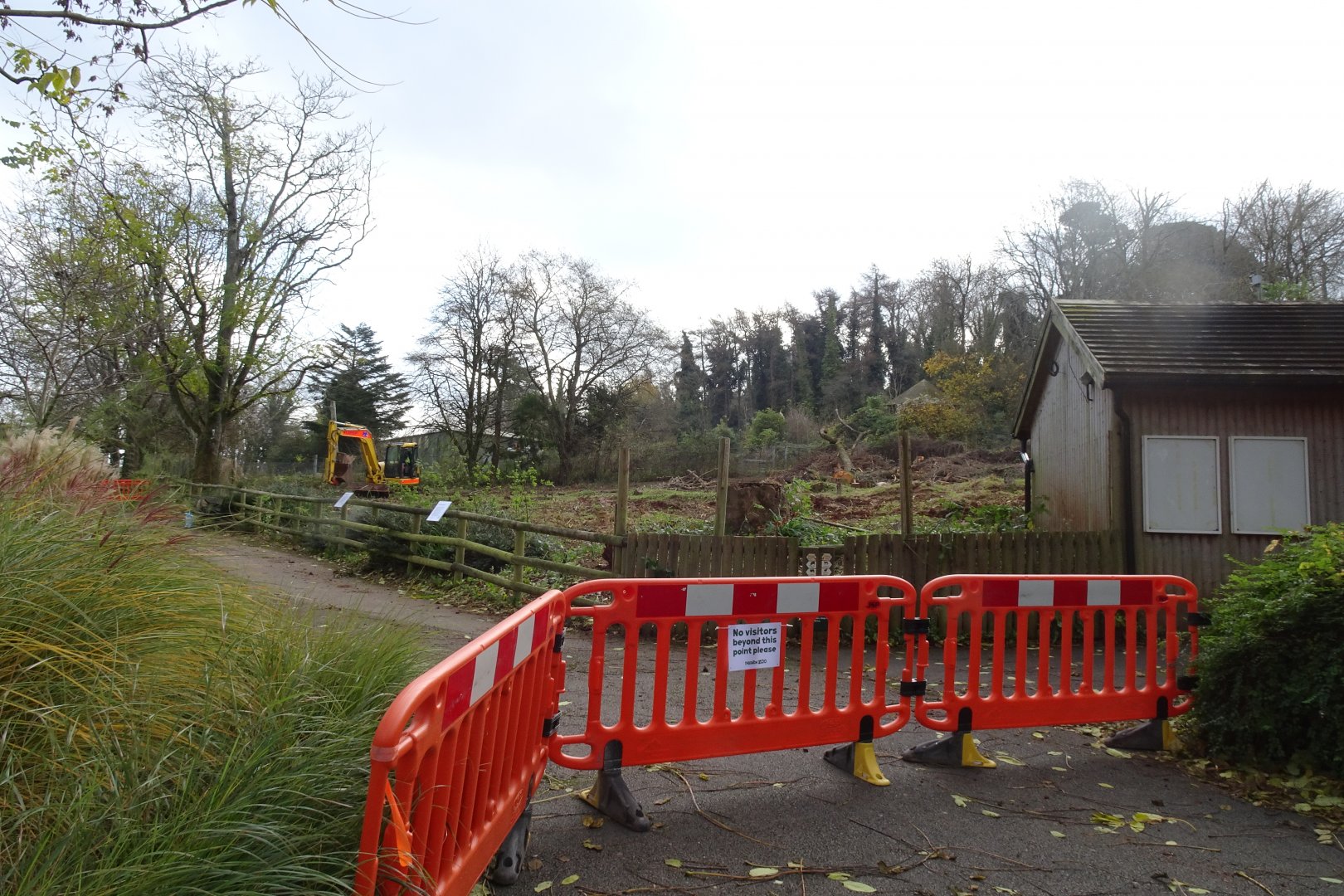 New Savannah preparation, November 2017