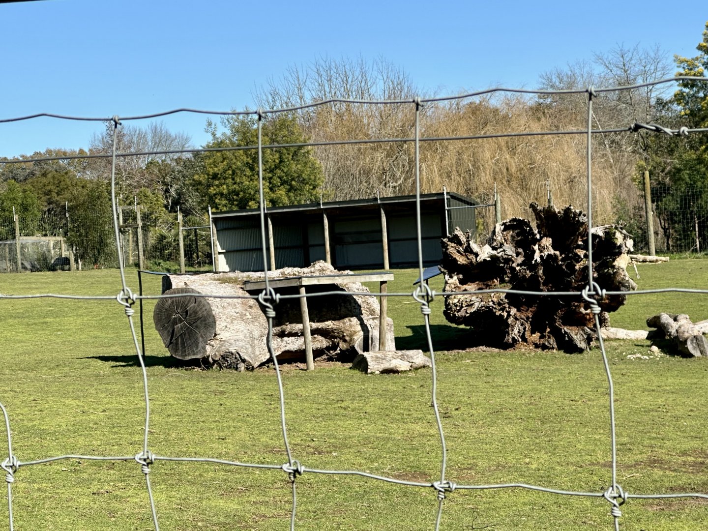 New Savannah Shelter