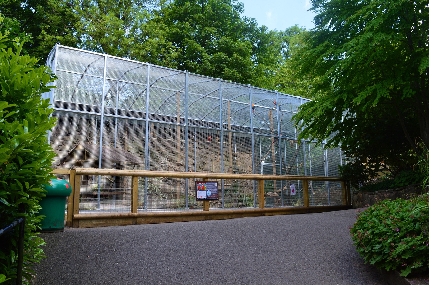 New scarlet macaw aviary
