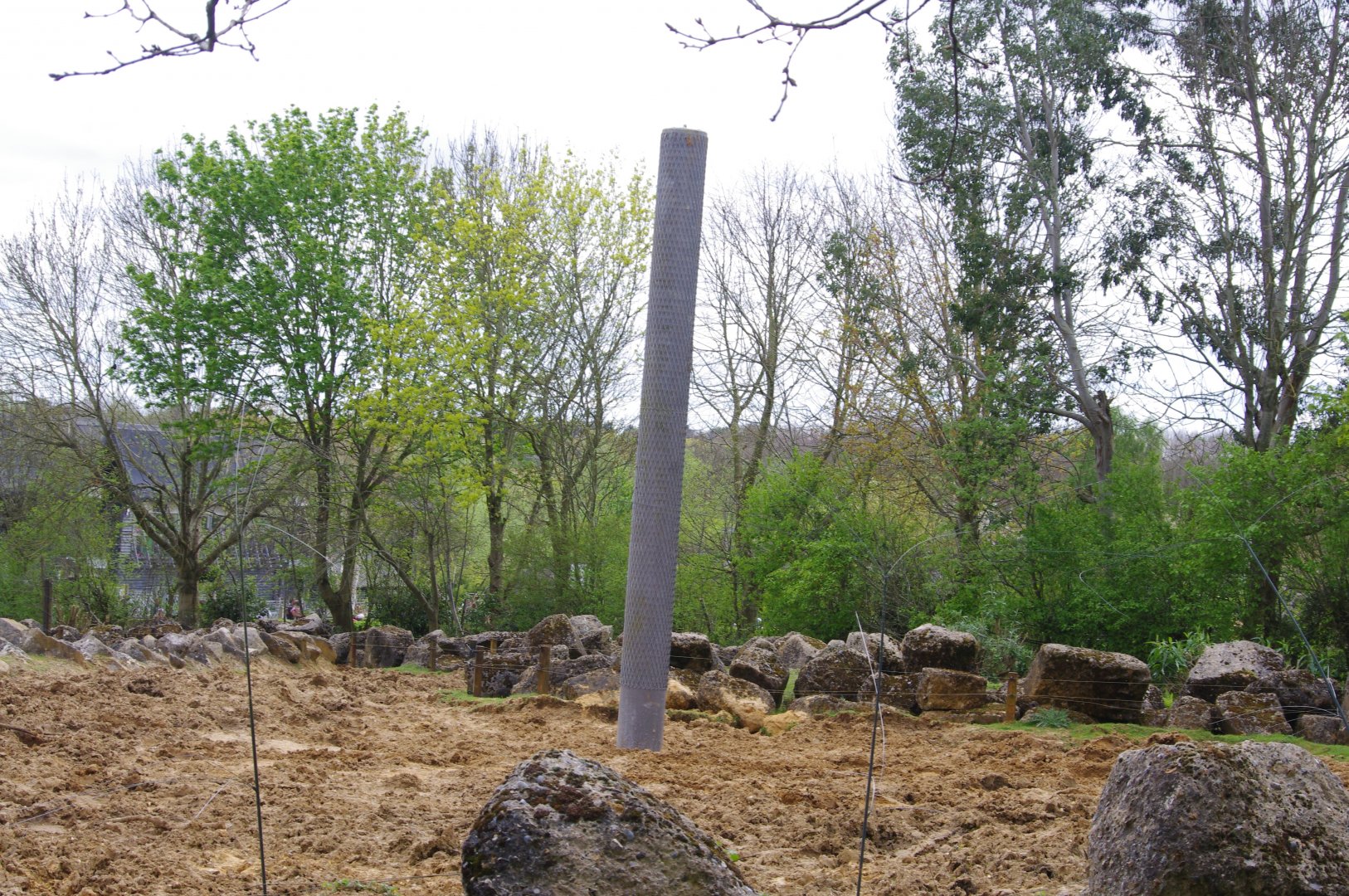 New scratching post in the bull paddock at Elephant Kingdom- 11/4/2024