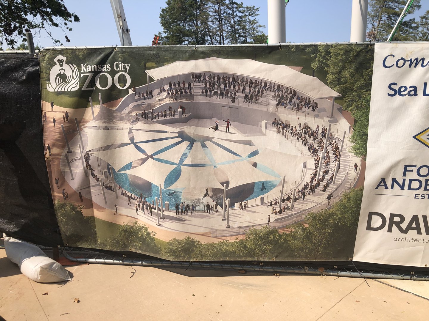 New Sea Lion Exhibit