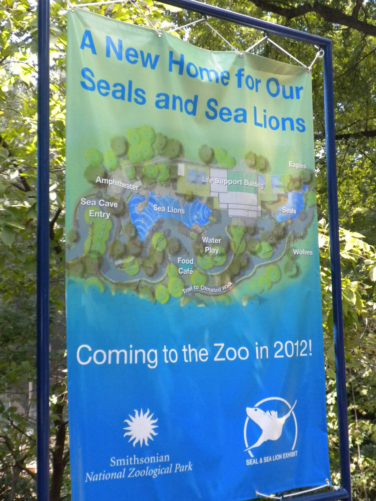 New Seal and Sea Lion Exhibit