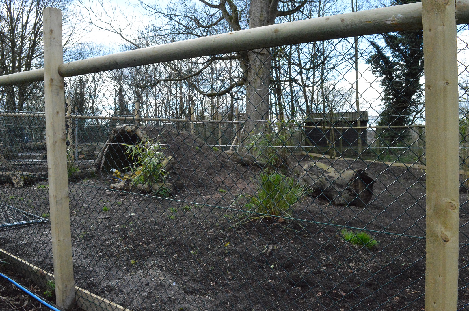 New (second) giant anteater enclosure under construction